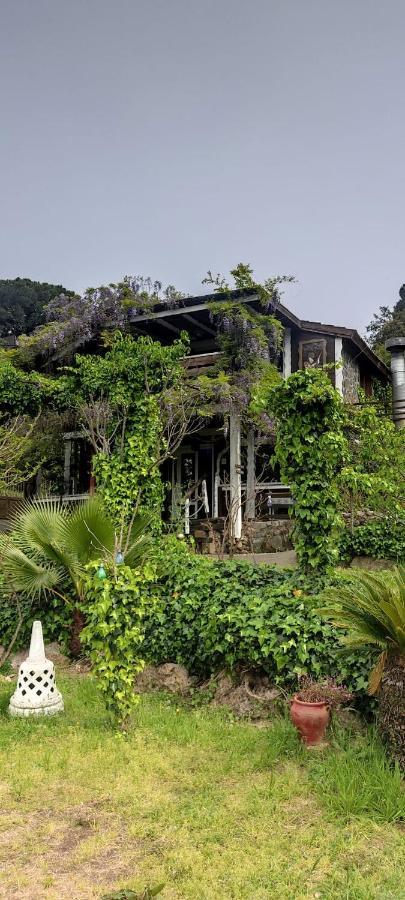 Mare Maravella Costa Brava Nature Tordera Exterior foto