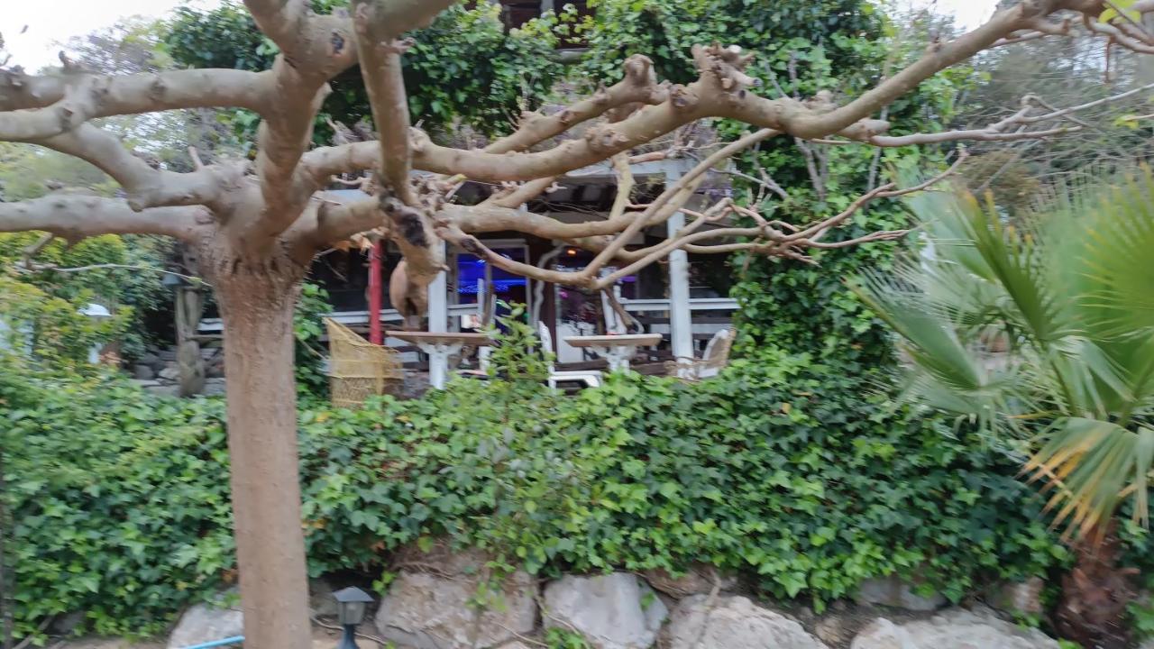 Mare Maravella Costa Brava Nature Tordera Exterior foto